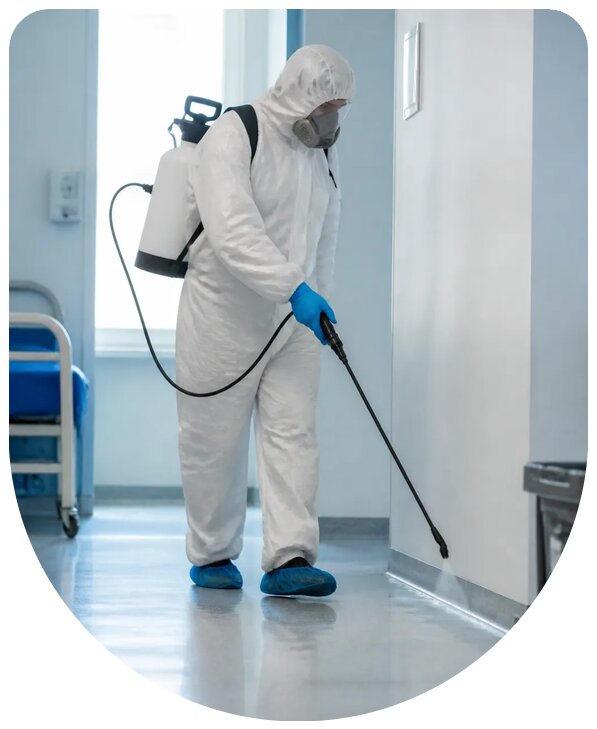 Комплексная профессиональная дезинсекция больницы в Торжке