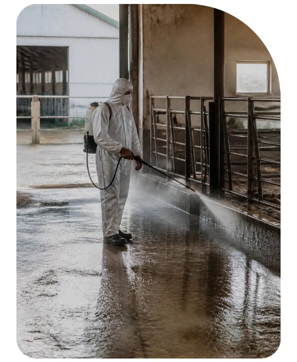 Профессиональная дезинфекция фермы в Торжке по цене от 15336 р. | Сенат-Трж